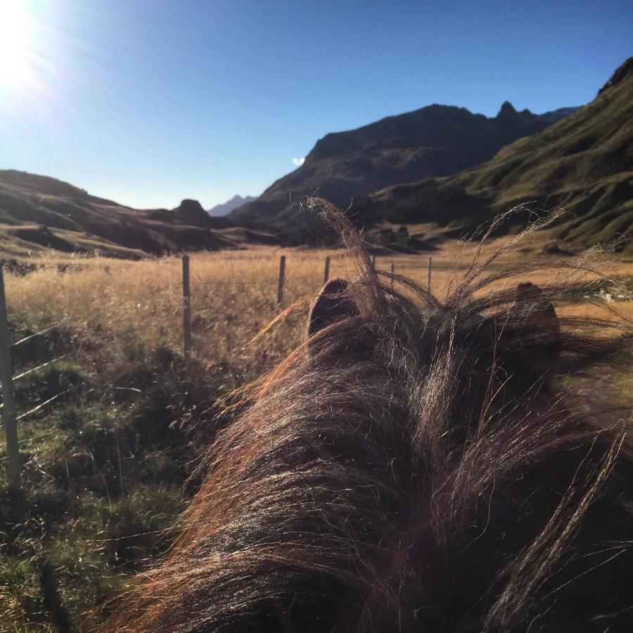 Flo Lofoten Nature Escape Valberg المظهر الخارجي الصورة